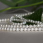 Perle seashell 4mm (2)