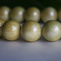 Perle seashell 14mm (1)