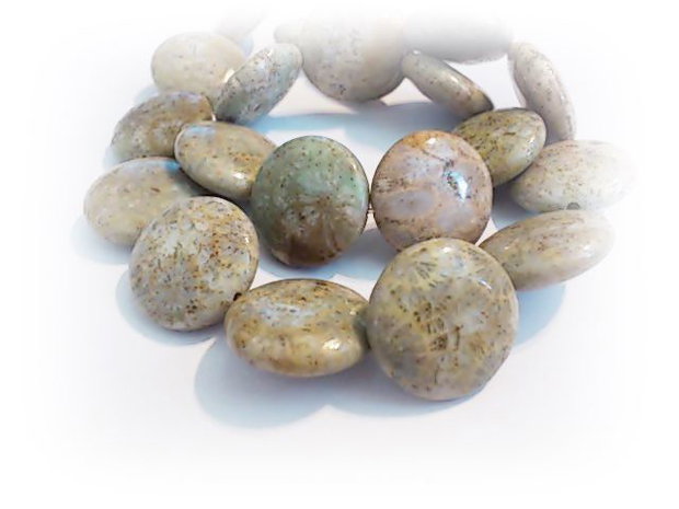 Coral fossil disc 20mm (SRG1 008)