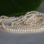 Perle cultura 2-3mm (2)
