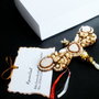 Martisor / Brosa Libelula