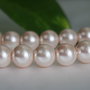 Perle seashell 10mm (1)