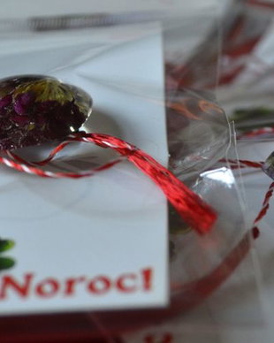 Martisor rasina