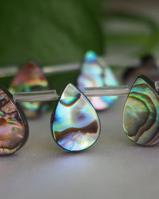 Paua shell 13x16mm (1)