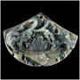 5101 - Pandantiv sculptat, jasp ribbon,  gri, evantai, 61x44x10mm