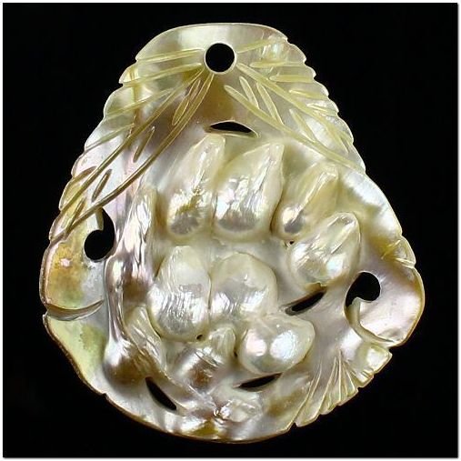5217 - Pandantiv scoica / shell cu perle de cultura 60x55mm