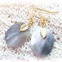 Cercei auriti/sidef SHELLS