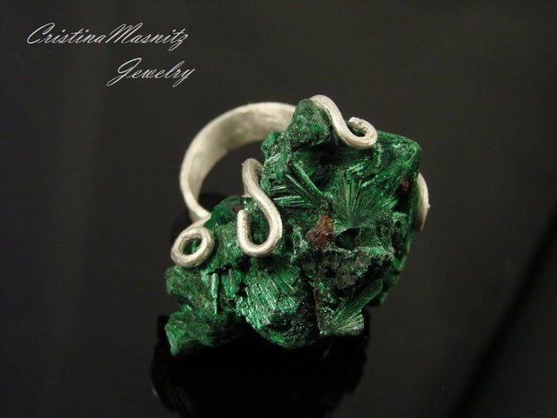 Passion for Green... REZERVAT. A.C.
