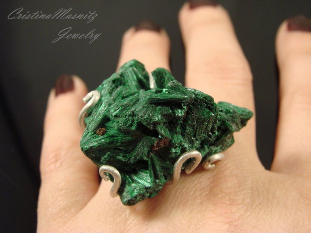Passion for Green... REZERVAT. A.C.