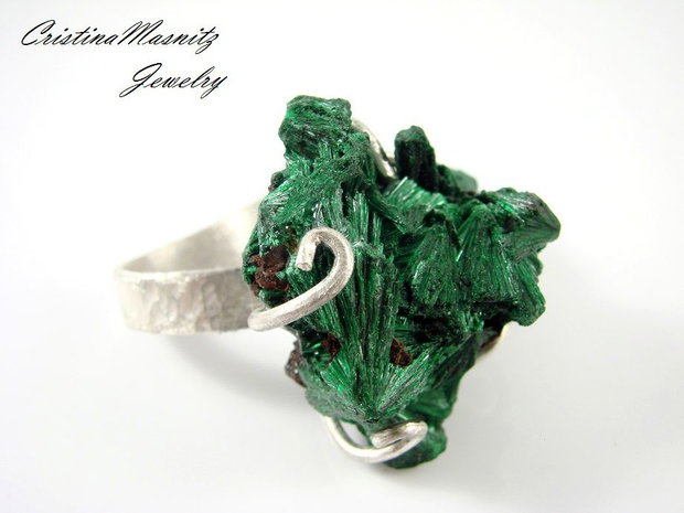 Passion for Green... REZERVAT. A.C.
