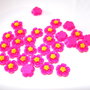 Cabochon rasina