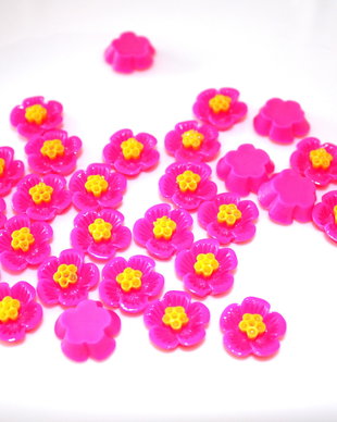 Cabochon rasina