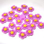Cabochon rasina