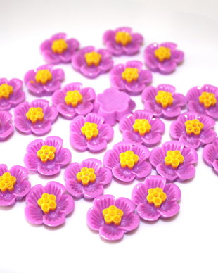 Cabochon rasina