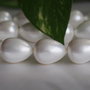 Perle seashell 14x18mm (1)
