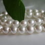 Perle seashell 8mm (1)