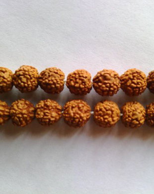 LR3 - margele rudraksha 5-6 mm