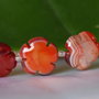 Agate 16x6mm (1)