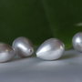 Perle seashell semigaurite, 14x10mm (1)