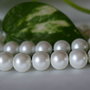 Perle seashell 10mm, cod ID60 (1)