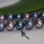 Perle seashell 10mm (1)