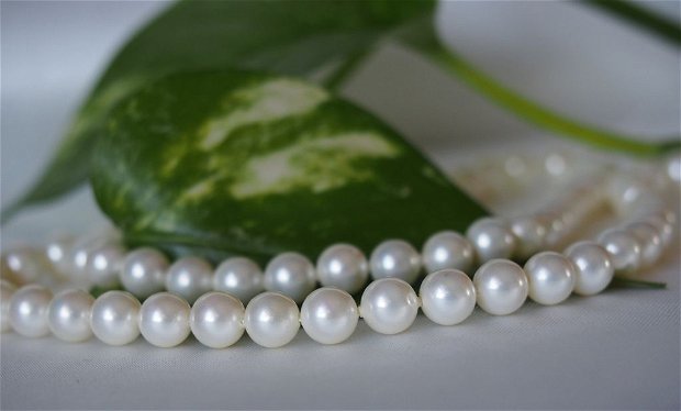 Perle seashell 6mm (1)