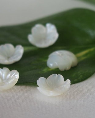 Sidef 10x3mm (1)