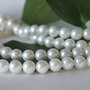 Perle seashell 7mm (2)