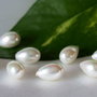 Perle seashell 7x10mm, semigaurite (1)