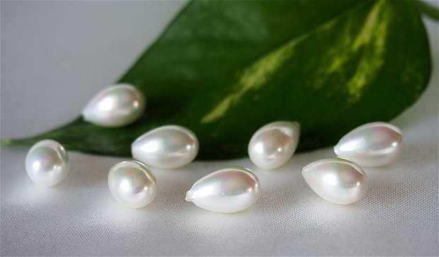 Perle seashell 7x10mm, semigaurite (1)