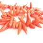 Coral tepi 22-25mm (GNPE 45)