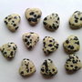 LPP1216 - jasp dalmatian
