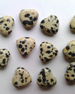 LPP1216 - jasp dalmatian