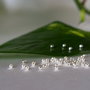 Crimp argintat 2mm (10)