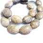 Coral fossil oval 18x12mm (SRG1 009)