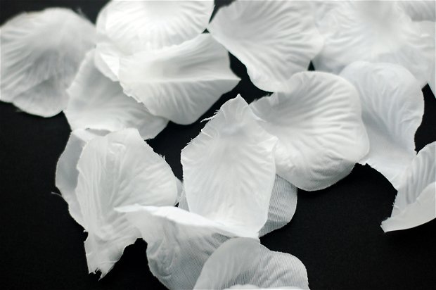 30 buc petale alb unturiu