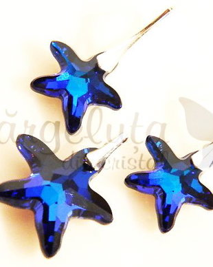 Set  Stelute de mare