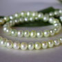 Perle cultura 5-6mm cod F6304 (1)