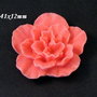 5943 - (1buc) Cabochon, floare / garoafa, rasina, flamingo