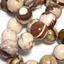 Jasper Zebra, 8 mm