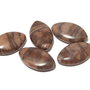Jasper Zebra, 19x11x5 mm