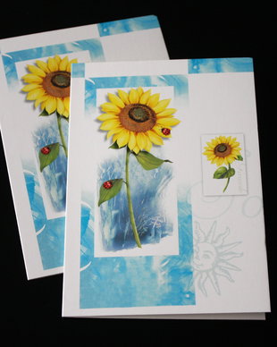 Sun Flower