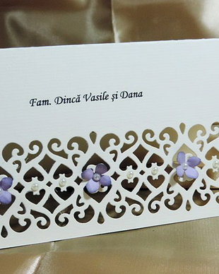 Plicuri de bani / Place card Embroidery