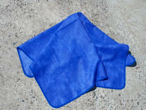 Fata de masa