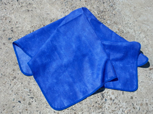 Fata de masa