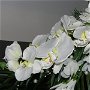 00384 - Buchet orhidee, bujor, gladiola