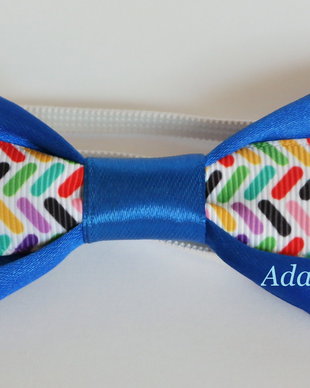 Mini papion colorat fond albastru