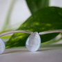 Margele Cat eye, 16x12mm (1)