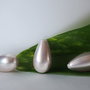 Perle seashell 18x10mm, semigaurite (1)