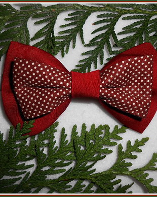 Papion buline Red Christmas